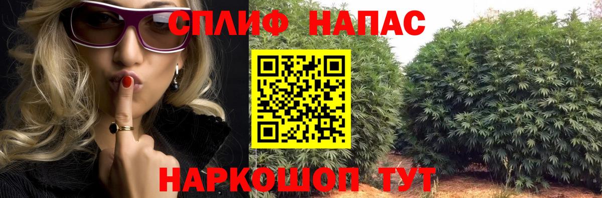Каннабис Amnesia Чапаевск